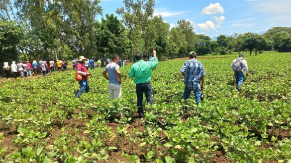 Inta realiza encuentro productores