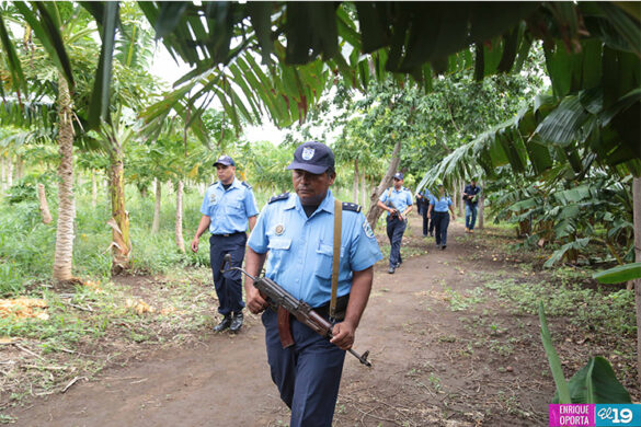 policia, seguridad campo, produccion,