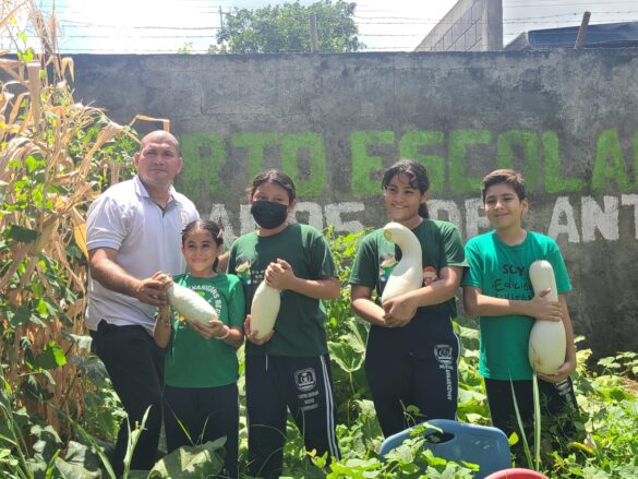 huerto escolar, estudiantes, primaria, movimiento ambientalista guardabarranco,