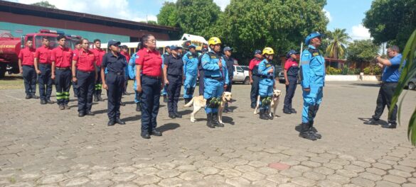 entrenamientos-caninos-busqueda-rescate1