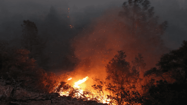 incendios forestales, canada, emergencia,