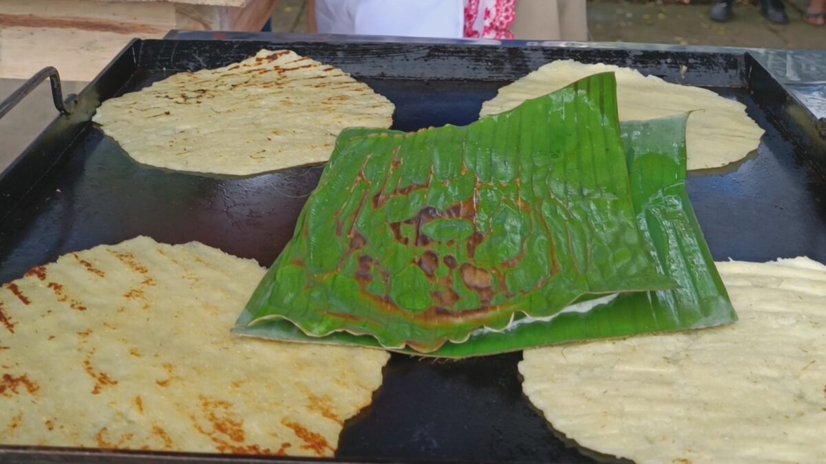 milpa-Nicaragua-feria-maiz
