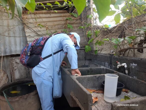 Jornada lucha Dengue sigue