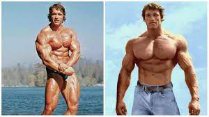 Arnold Schwarzenegger figura cuerpo 1