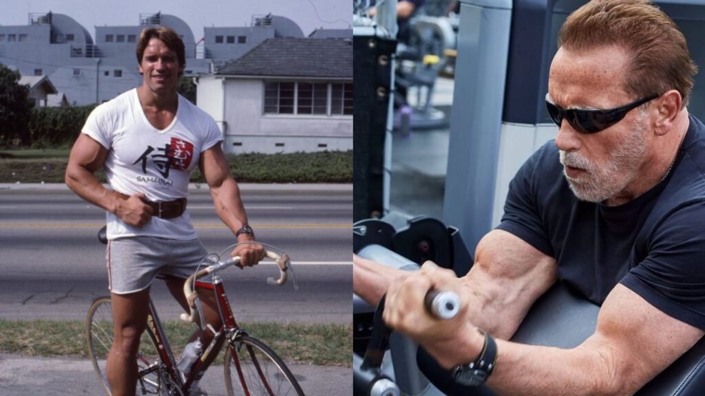 Arnold Schwarzenegger figura cuerpo 2