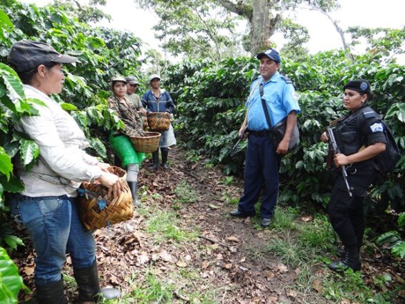 Seguridad garantiza producción Nicaragua