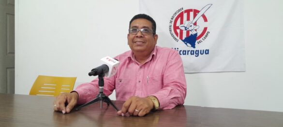 Nicaragua producirá millones quintales de azúcar