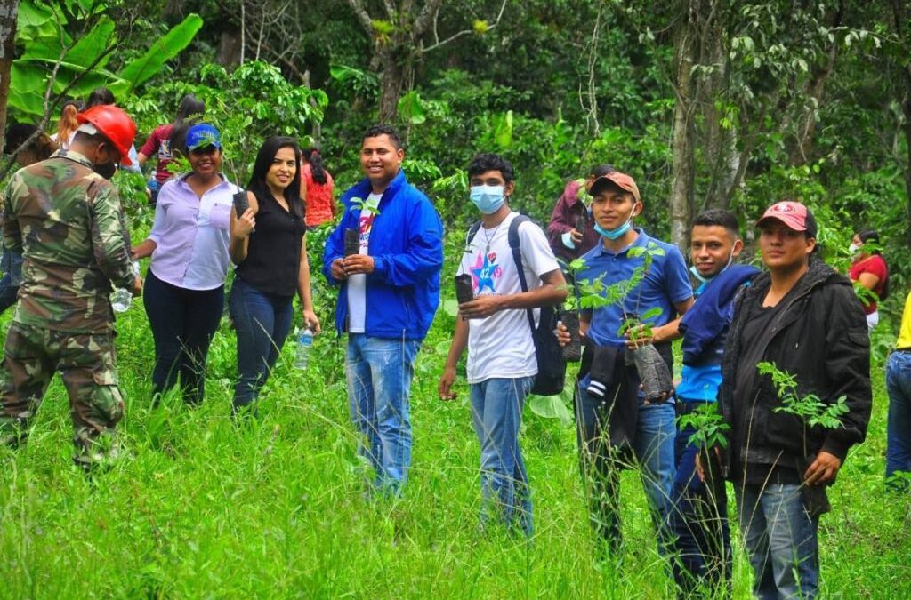 Más de 17 millones de árboles plantados en Nicaragua en 2023