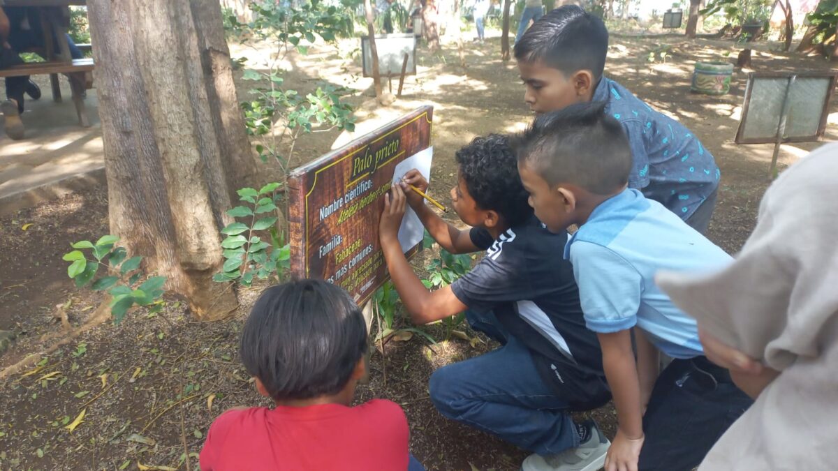 Niños aprenden sobre árboles en el Arboretum Nacional