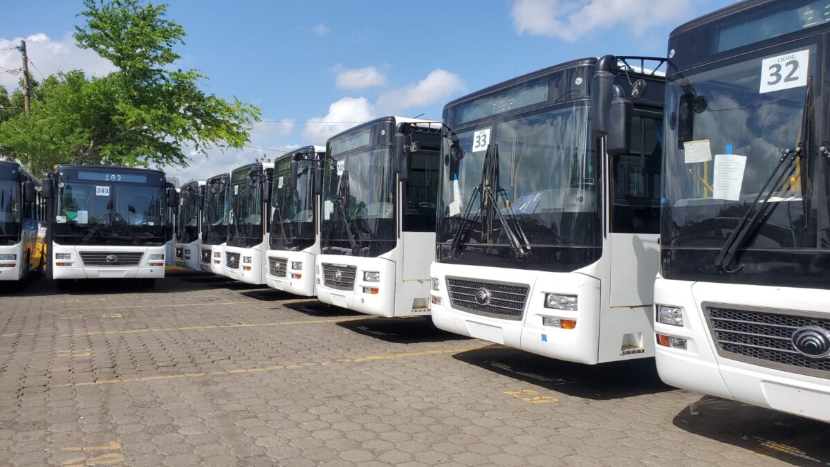 Cooperativas de transporte público reciben  nuevas unidades de buses Yutong