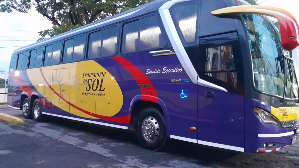 Transporte del Sol presenta su nueva flota de autobuses