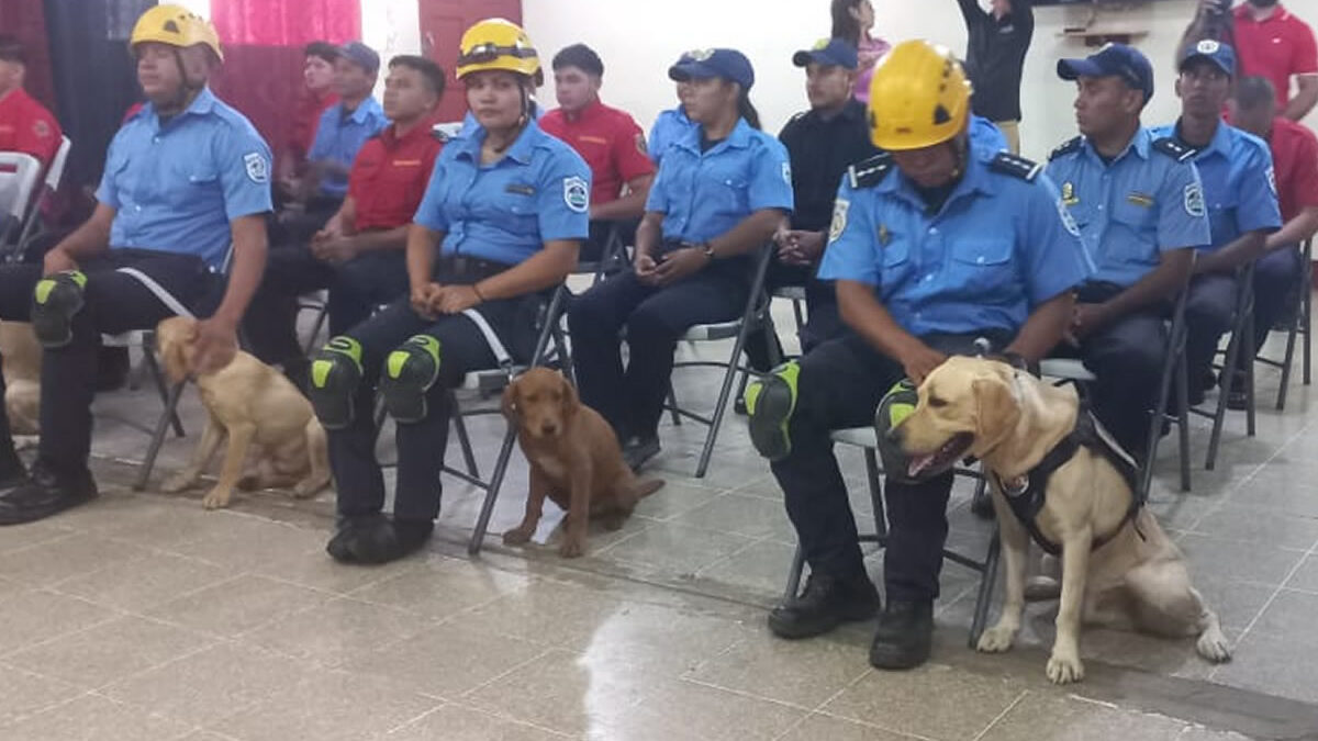 Bomberos se capacitan en adiestramiento de canes para el rescate de víctimas