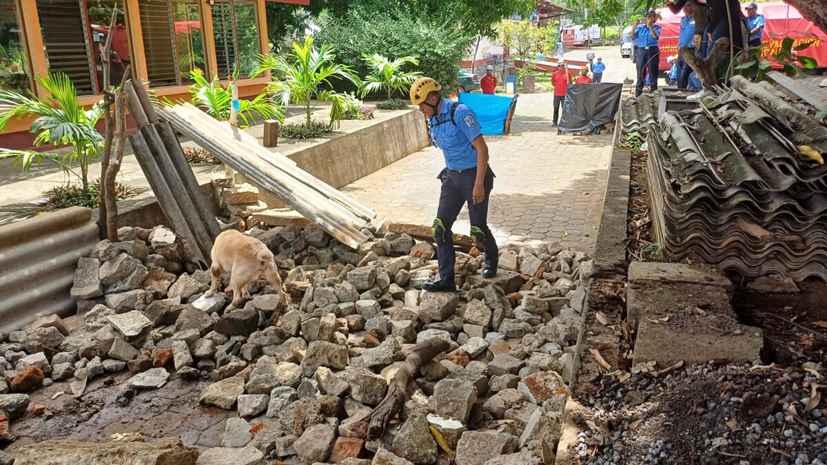 Bomberos Unidos realizan ejercicio de búsqueda de víctima con técnica canina