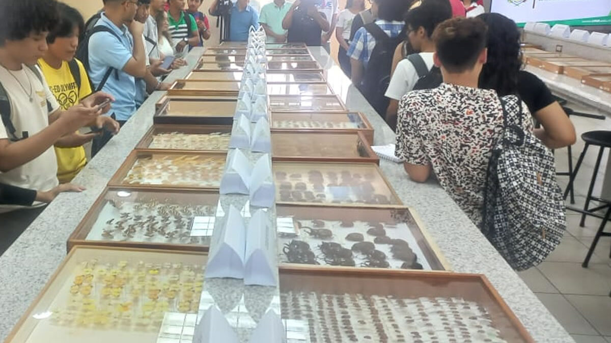 Presentan colección de más de 200 mil insectos en la Universidad Nacional Agraria 