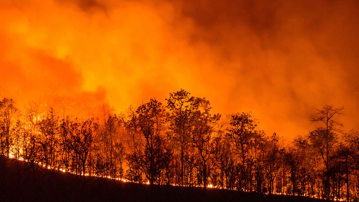 Seis detenidos por incendios en Sao Paulo; uno vinculado al crimen organizado