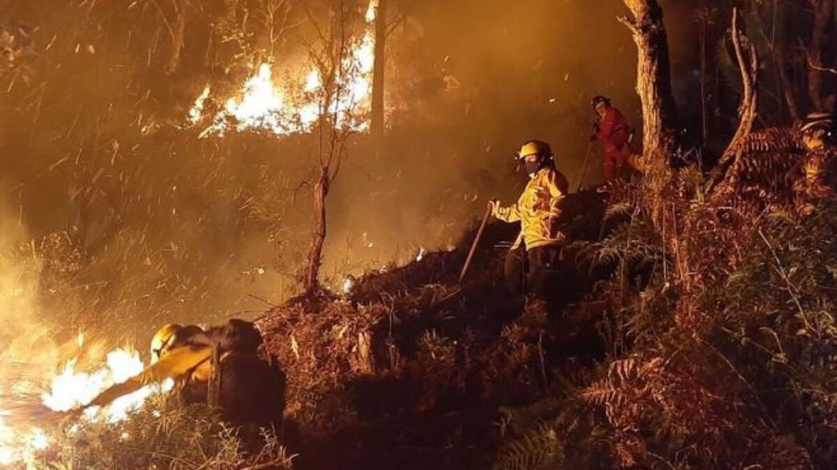 Incendio forestal devasta parroquia en Loja, Ecuador