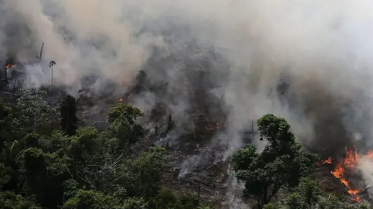 Incendios en la Amazonía afectan la calidad del aire en Sudamérica