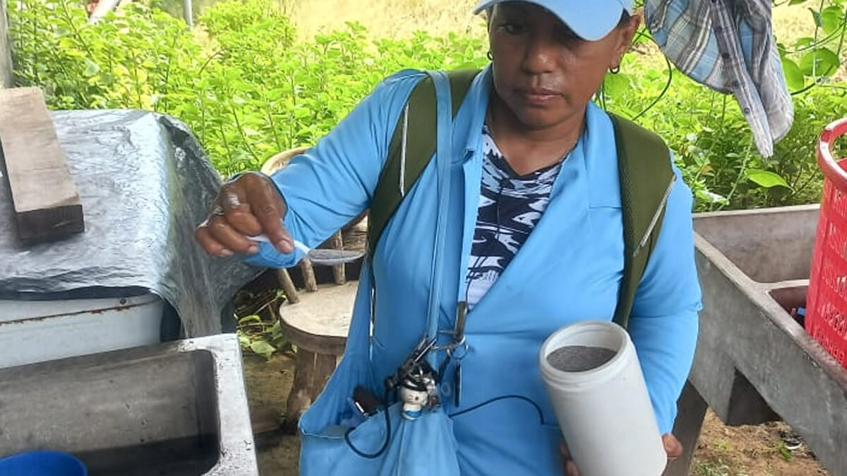 Permanente lucha antiepidémica mantiene bajo control índice de casos de dengue