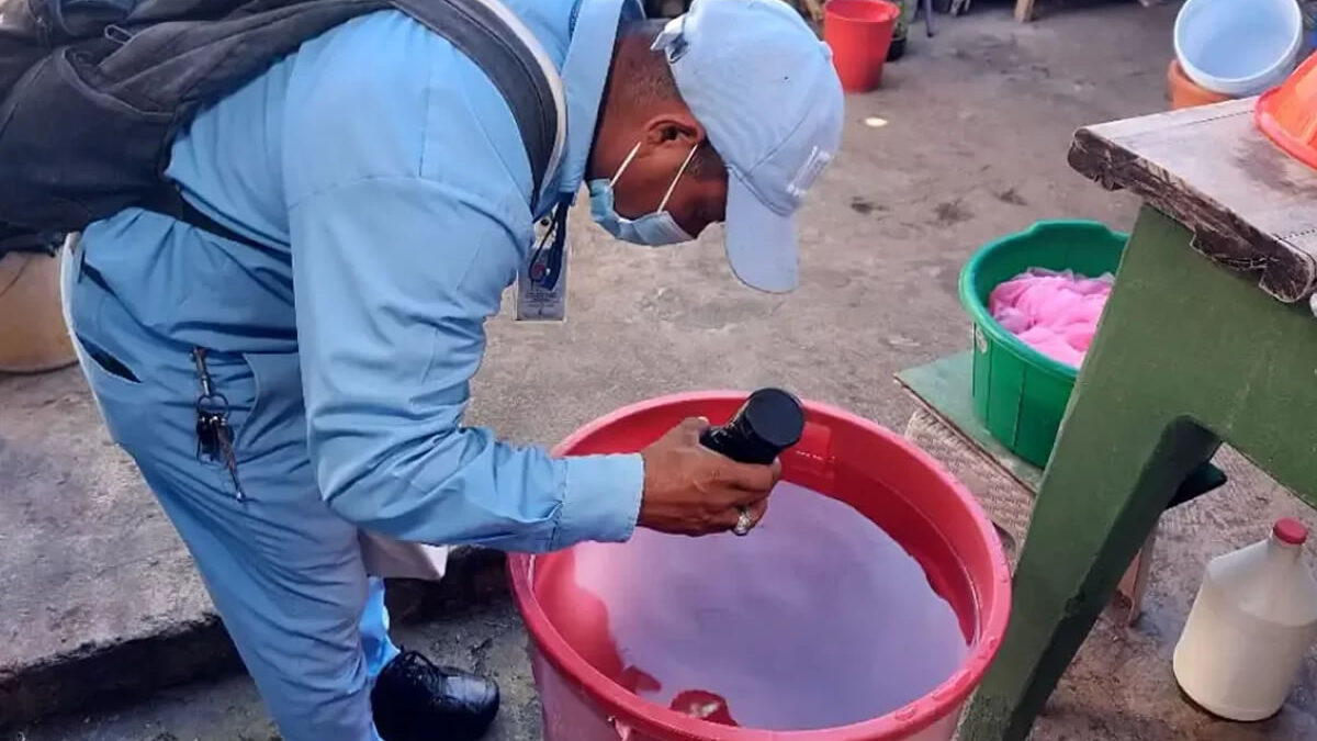 Ministerio de Salud continúa jornada de lucha contra mosquitos