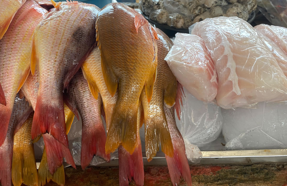 Precios de los productos del mar registra leve aumento en los mercados