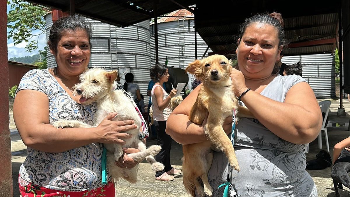 Inicia la campaña de vacunación contra la rabia canina en Nueva Segovia