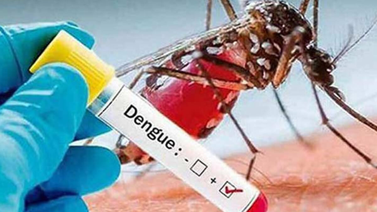 Casos de dengue se duplican en Costa Rica