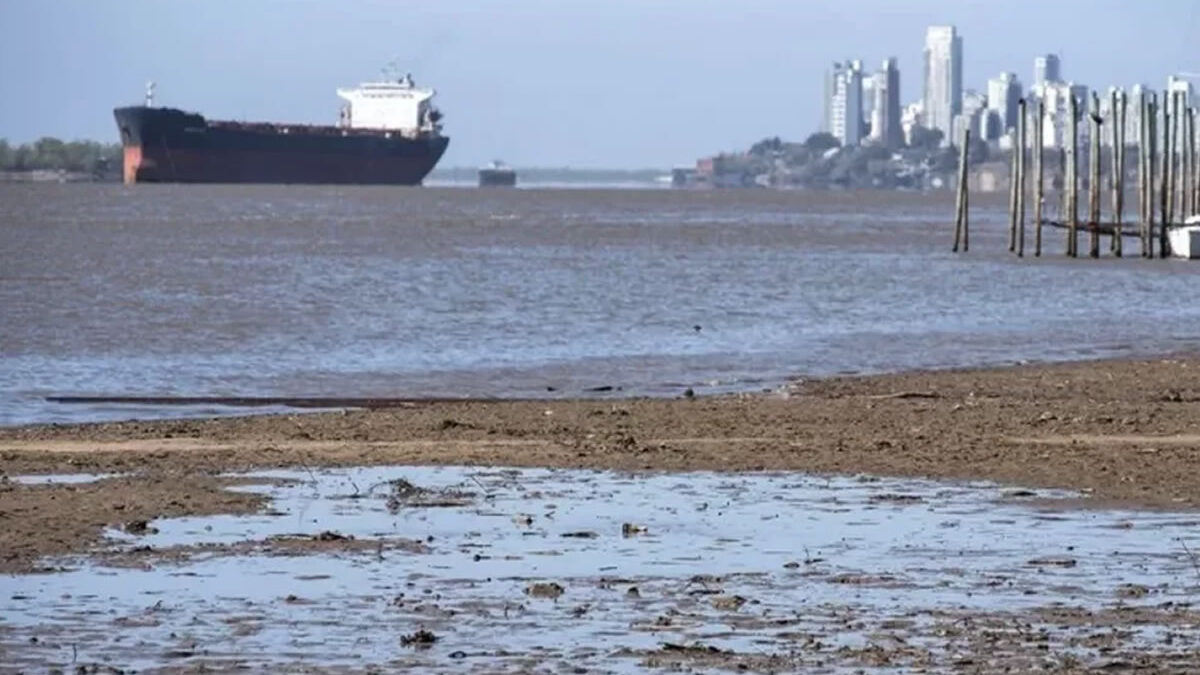 Crisis para pescadores y agroexportadores por la histórica bajante del río Paraná