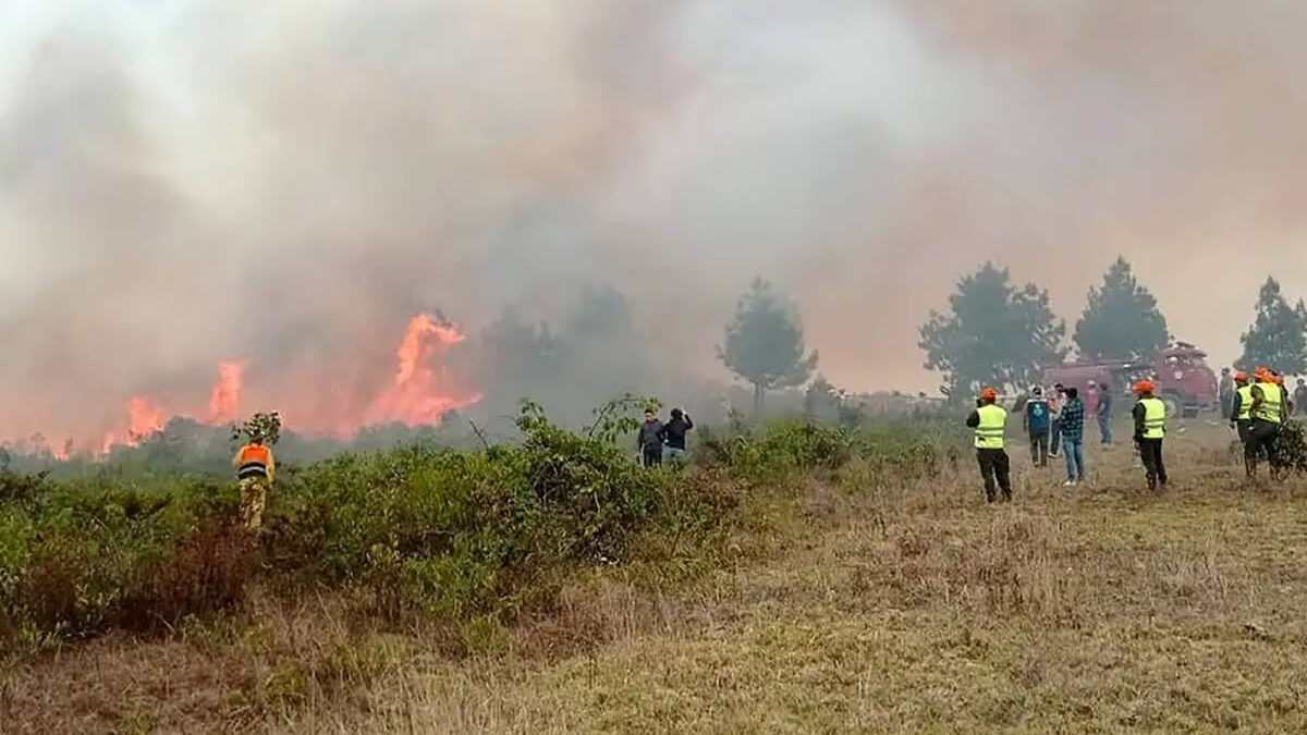 Decretan estado de emergencia en Perú por más de 200 incendios forestales