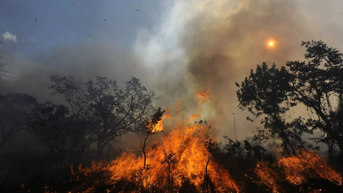 Incendio devasta un 20% del Parque Nacional de Brasilia