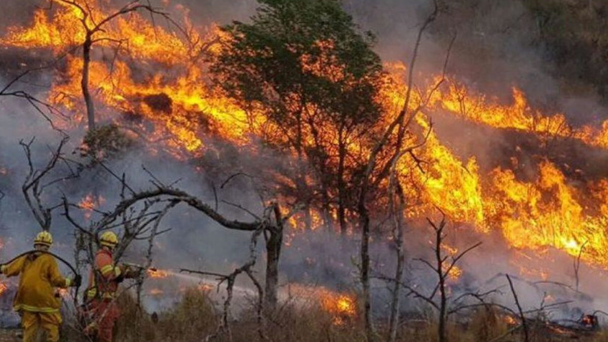 Incendios forestales en Argentina: Declaran estado de desastre en varias provincias