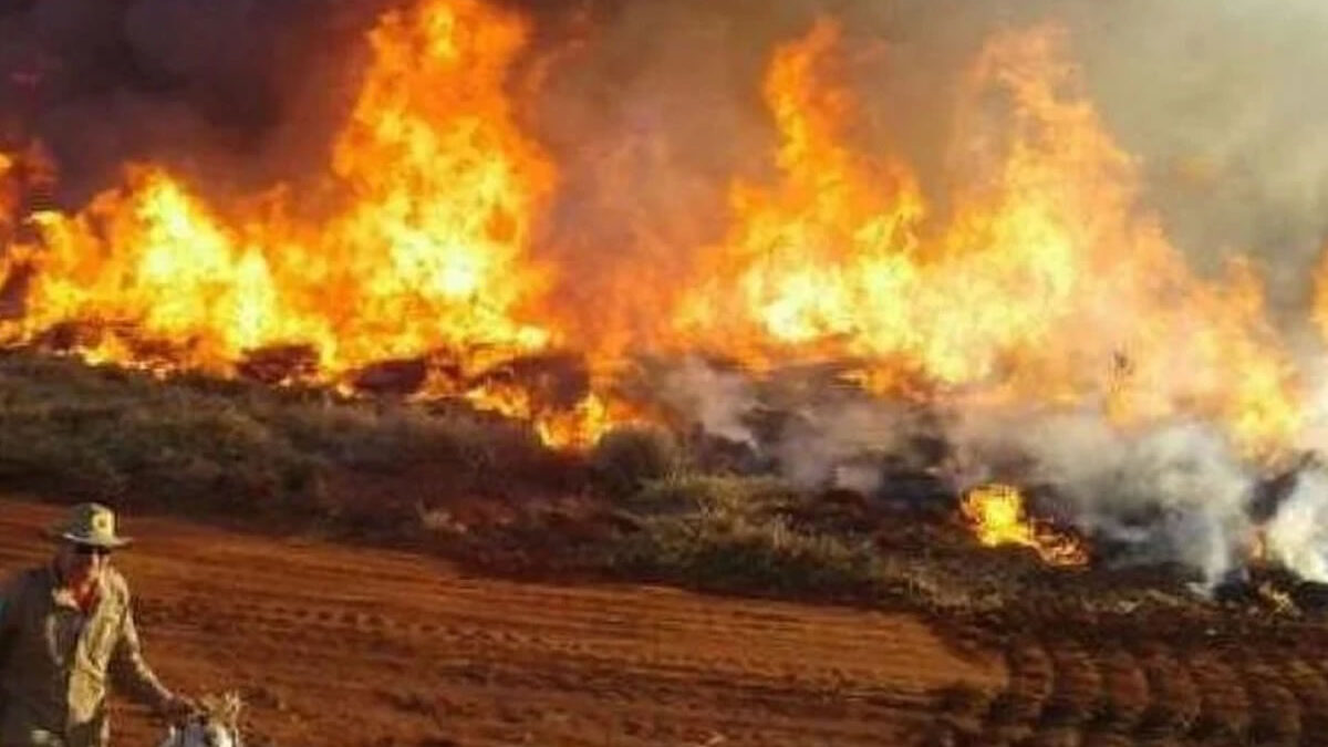 Incendios en Brasil devastan más de 10 mil hectáreas en tan pocos días