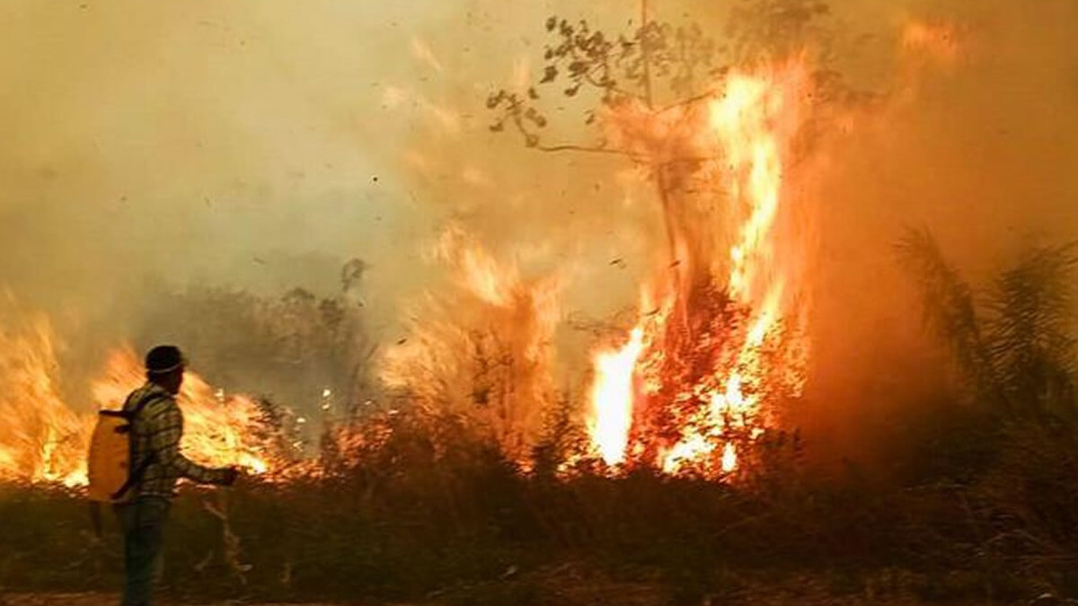 Crisis por incendios forestales afecta a millones de personas en Sudamérica