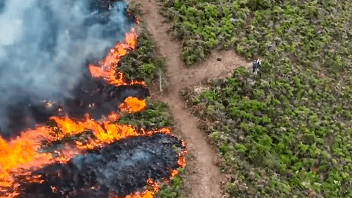 Incendios forestales en Perú causan 15 muertos y 98 heridos en lo que va del 2024