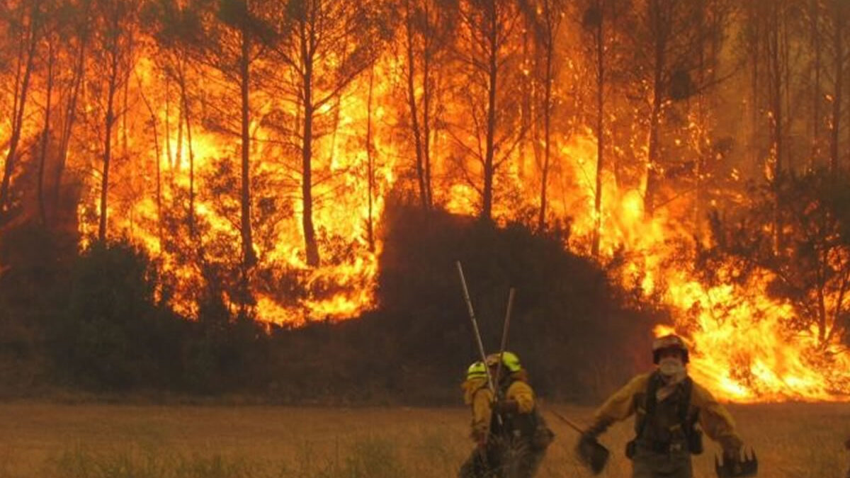 Incendios masivos en América Latina: Un peligro inminente para el ecosistema