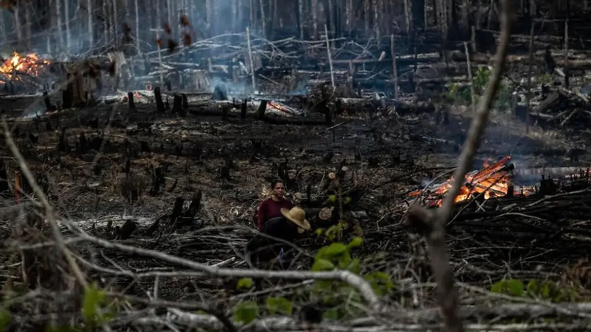 Lula impulsa medidas urgentes contra incendios y crisis climática en Brasil