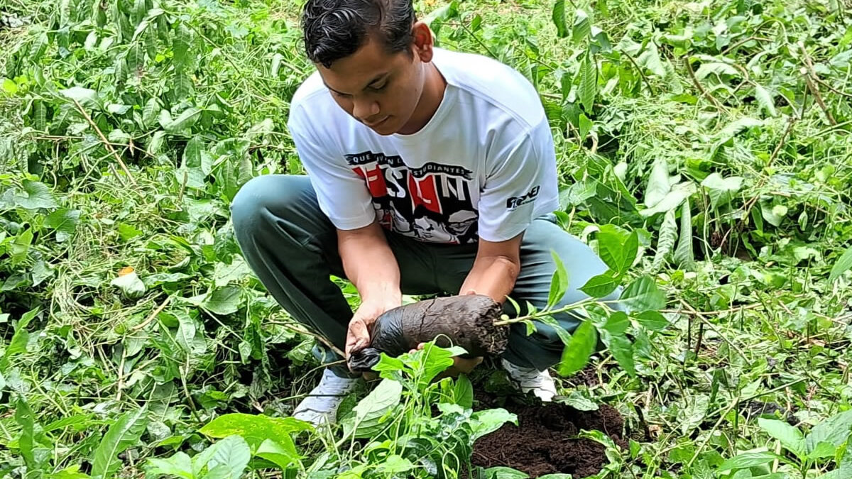 Siembran más de 200 árboles nativos en Ometepe para mantenerla verde y bonita