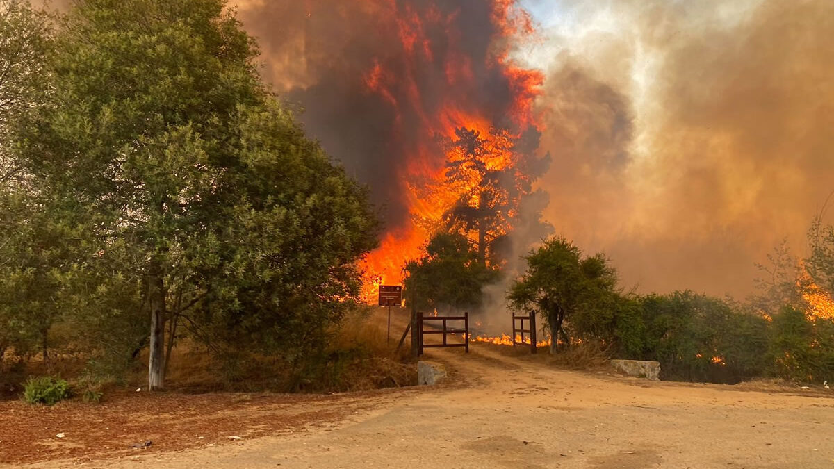 Casi toda Sudamérica enfrenta riesgo de incendios debido a emergencia climática