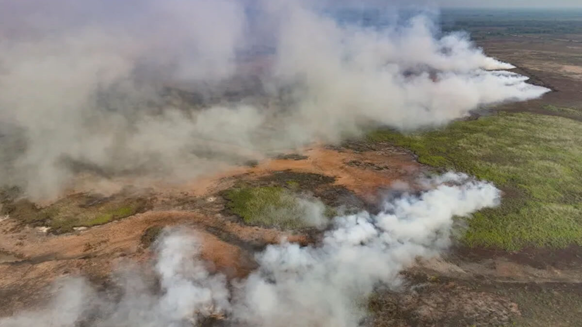 Universidad de Brasilia suspende clases por incendio en el Parque Nacional