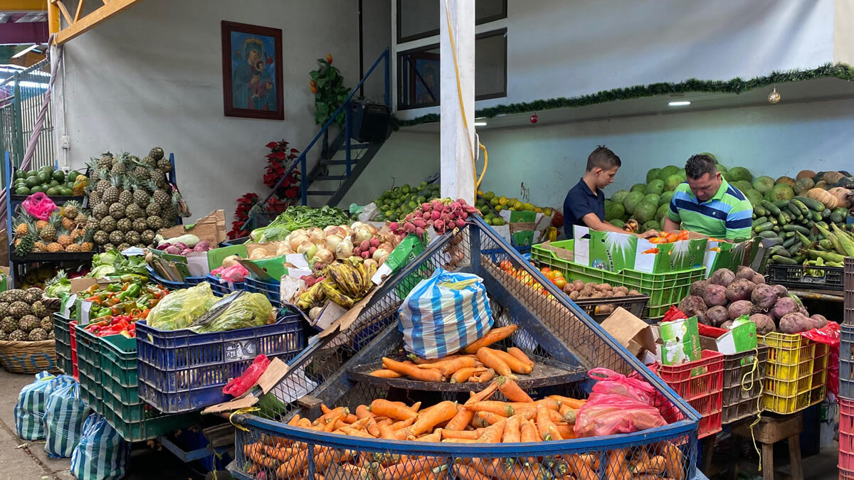 Verduras bajan de precios en el mercado Mayoreo