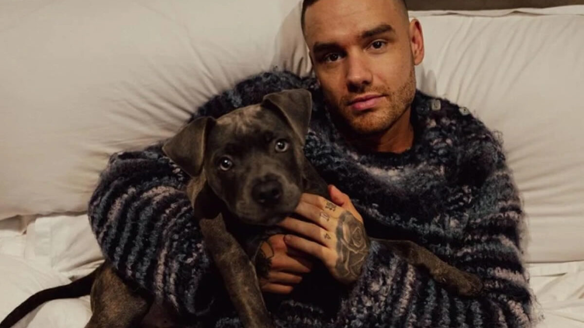 Autopsia revela causas trágicas de la muerte de Liam Payne