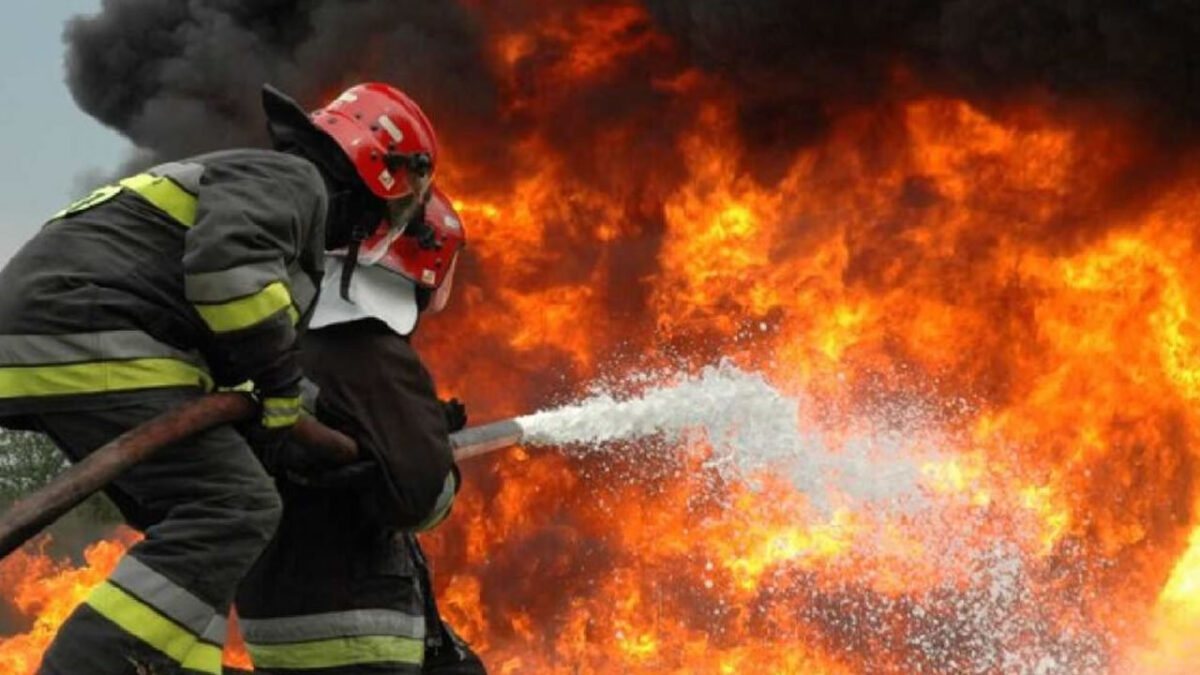 Bomberos venezolanos apoyan la conservación de la fauna en Bolivia