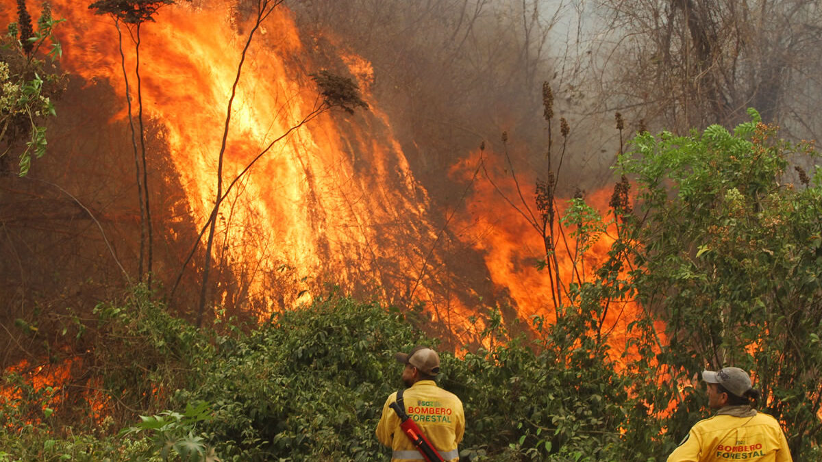 Crecen de forma alarmante los incendios forestales en Sudamérica