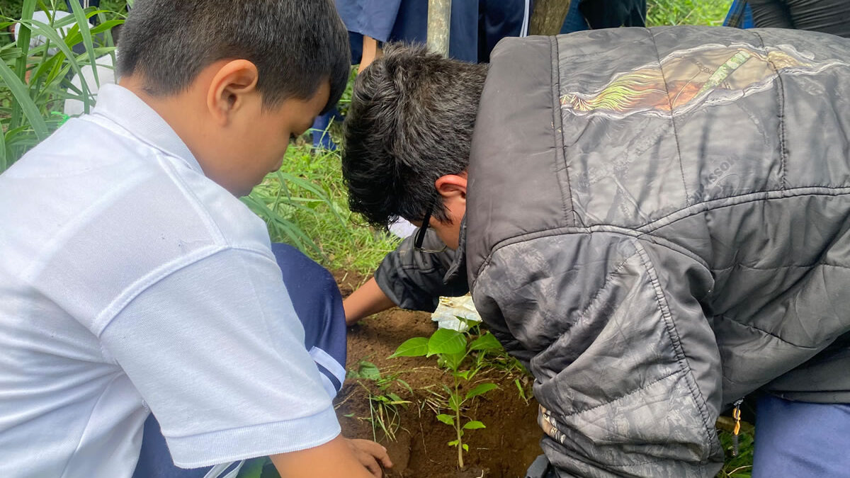 Jornada de reforestación promueve educación ambiental en Nicaragua