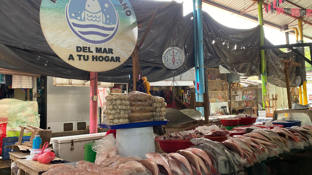 Mariscos aumentan sus precios por temporadas lluviosas