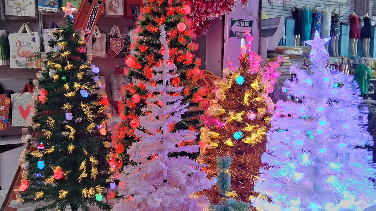 Se activa el «comercio navideño» en el mercado Oriental