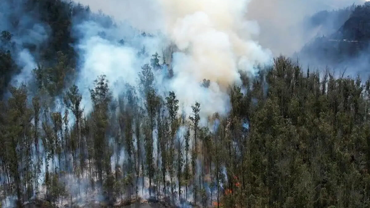 Ecuador declara emergencia nacional por incendios y sequía