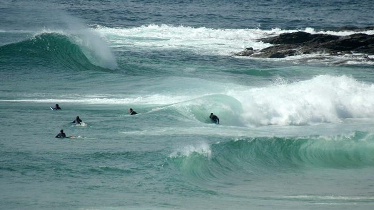 Tiburón ataca a surfista en Hawái y le arranca parte de la pierna