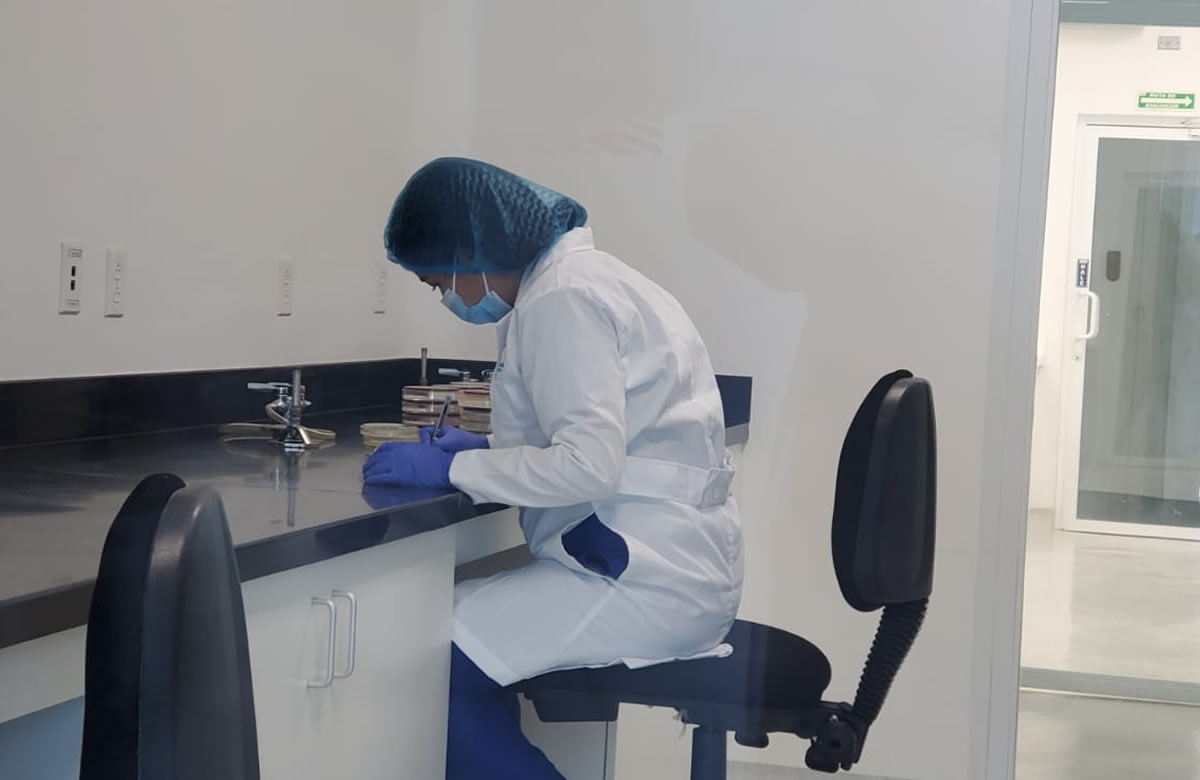 Ipsa Vigila La Calidad De Alimentos De Consumo Nacional E Internacional