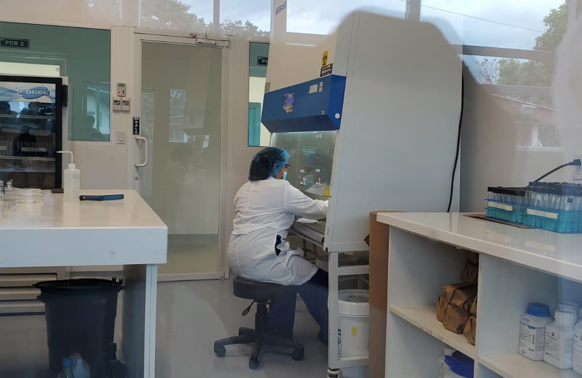 Ipsa Vigila La Calidad De Alimentos De Consumo Nacional E Internacional