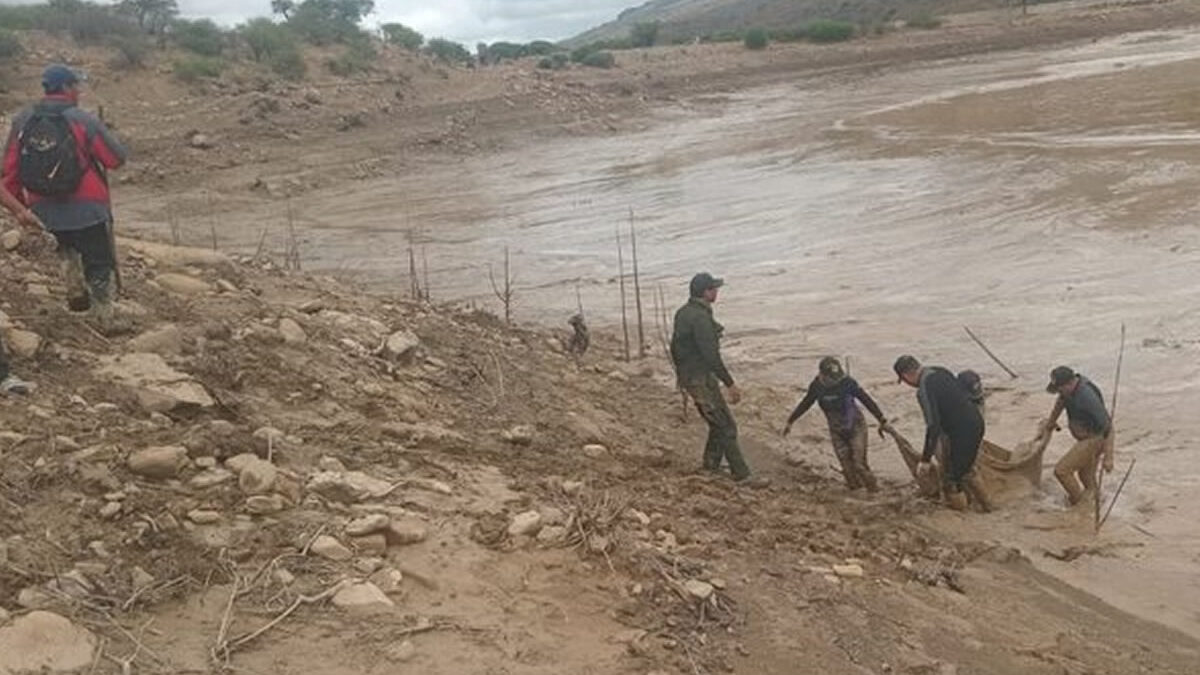 Lluvias en Bolivia dejan cinco muertos y cientos de familias afectadas